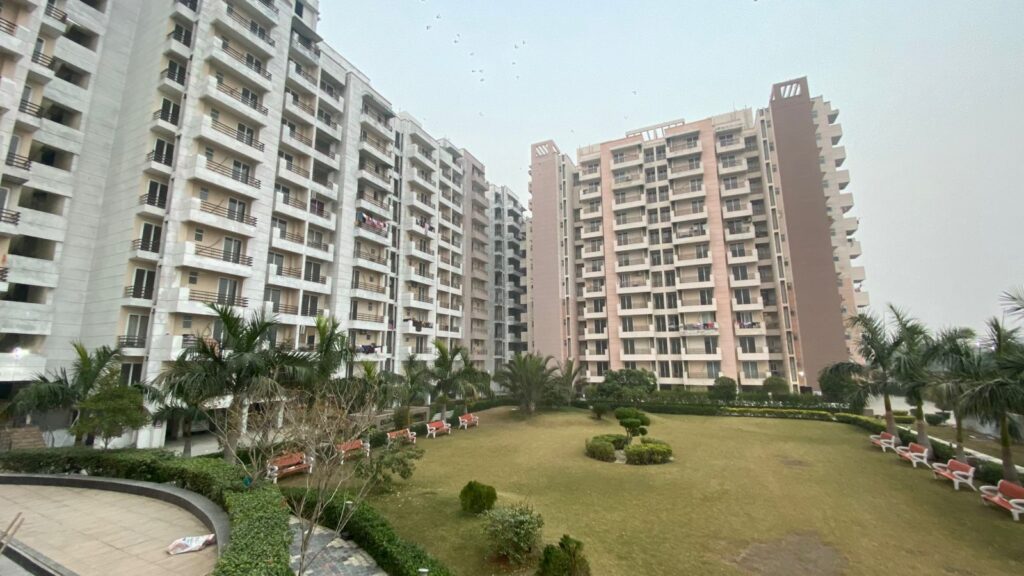 WhatsApp Image 2025-05-12 at 1.51.26 AM (1)