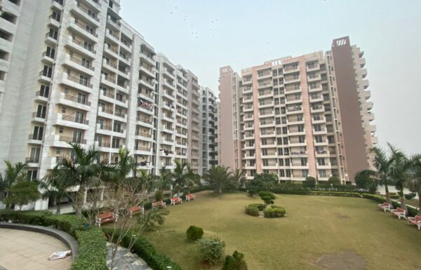 WhatsApp Image 2025-05-12 at 1.51.26 AM (1)