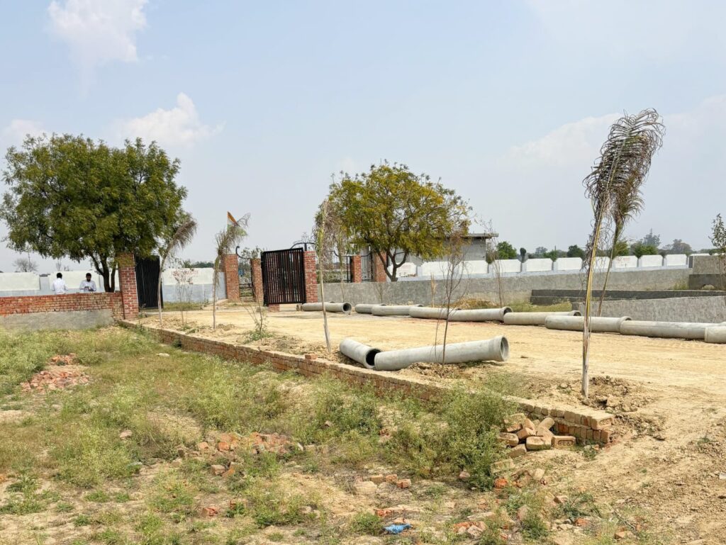 WhatsApp Image 2025-10-25 at 11.07.14 PM